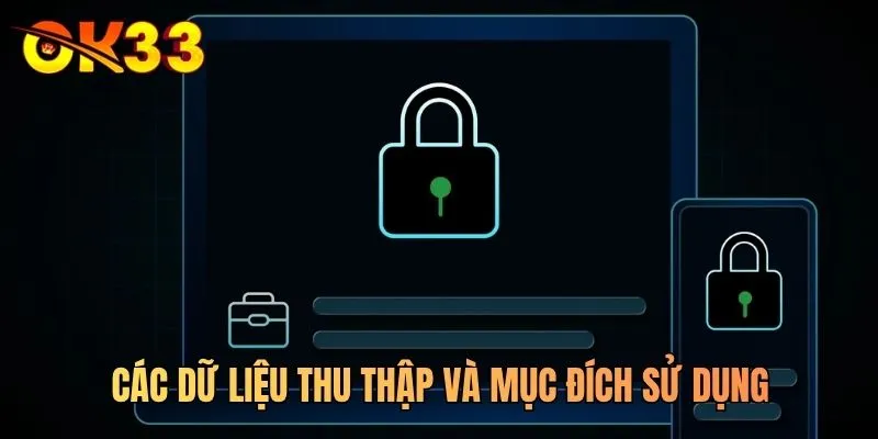 Các dữ liệu thu thập và mục đích sử dụng