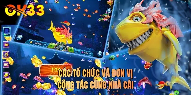 Các tổ chức và đơn vị cộng tác cùng nhà cái