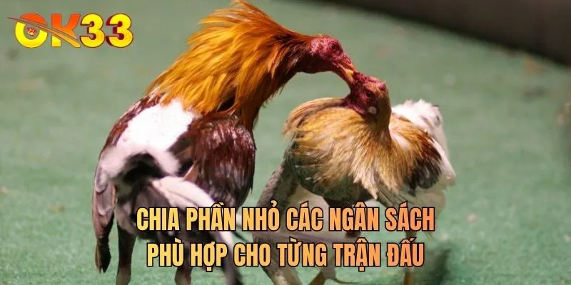 Chia phần nhỏ các ngân sách phù hợp cho từng trận đấu