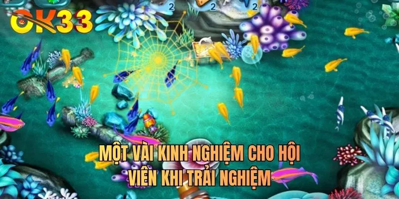 Một vài kinh nghiệm cho hội viên khi trải nghiệm