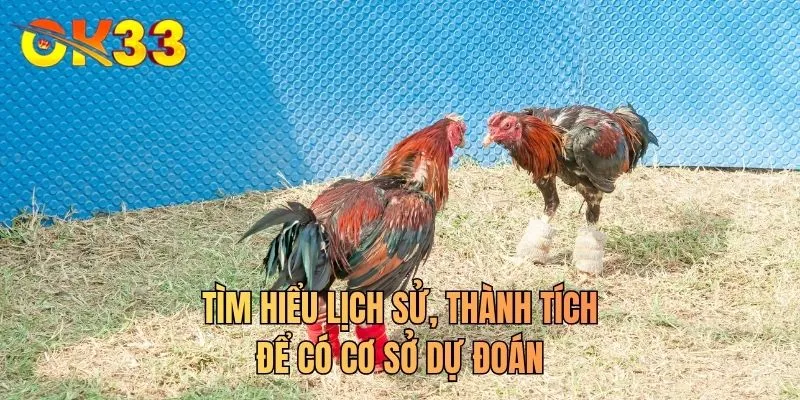 Tìm hiểu lịch sử, thành tích để có cơ sở dự đoán